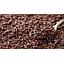 Cacao Nibs